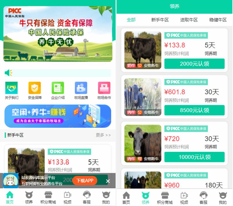 牧场养牛系统带积分商城1.jpg 牧场养牛系统带积分商城1.jpg
