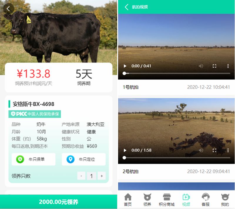 牧场养牛系统带积分商城2.jpg 牧场养牛系统带积分商城2.jpg