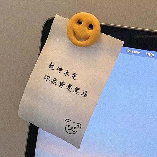 在大功未成之前,让花慢慢去生长吧